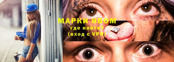 шишки Магадан