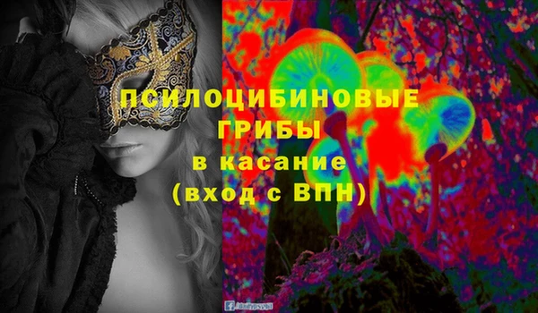шишки Магадан
