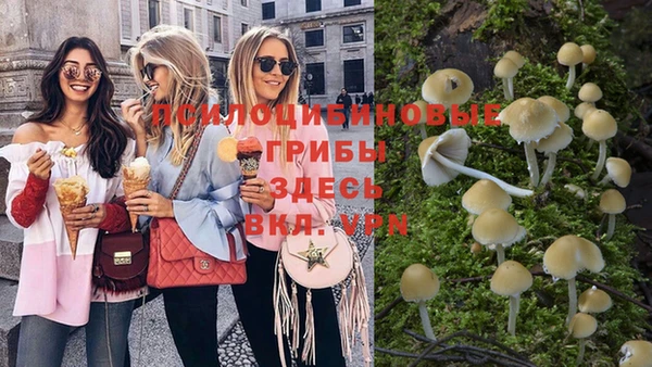 шишки Магадан