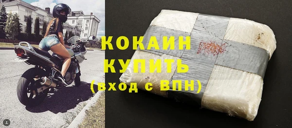шишки Магадан