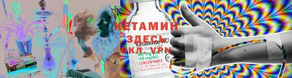 шишки Магадан