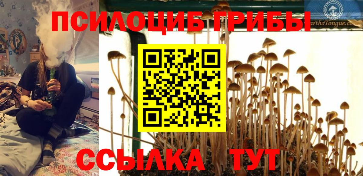 Галлюциногенные грибы прущие грибы  Вход с VPN  Советская Гавань  Псилоцибиновые грибы мухоморы 