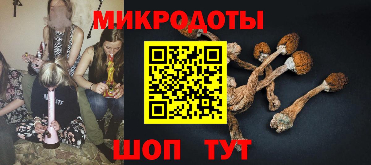 Галлюциногенные грибы мухоморы Советская Гавань
